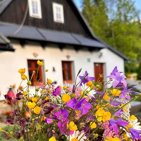 Rozpravkovy Domcek Zvoncek Villa Donovaly Luaran gambar