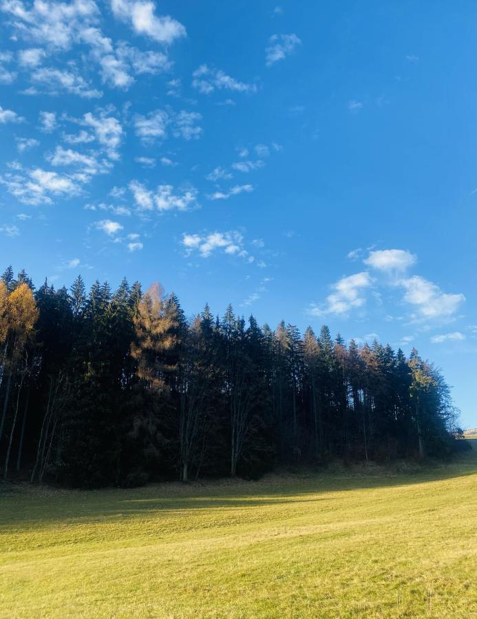 Rozpravkovy Domcek Zvoncek Villa Donovaly Luaran gambar