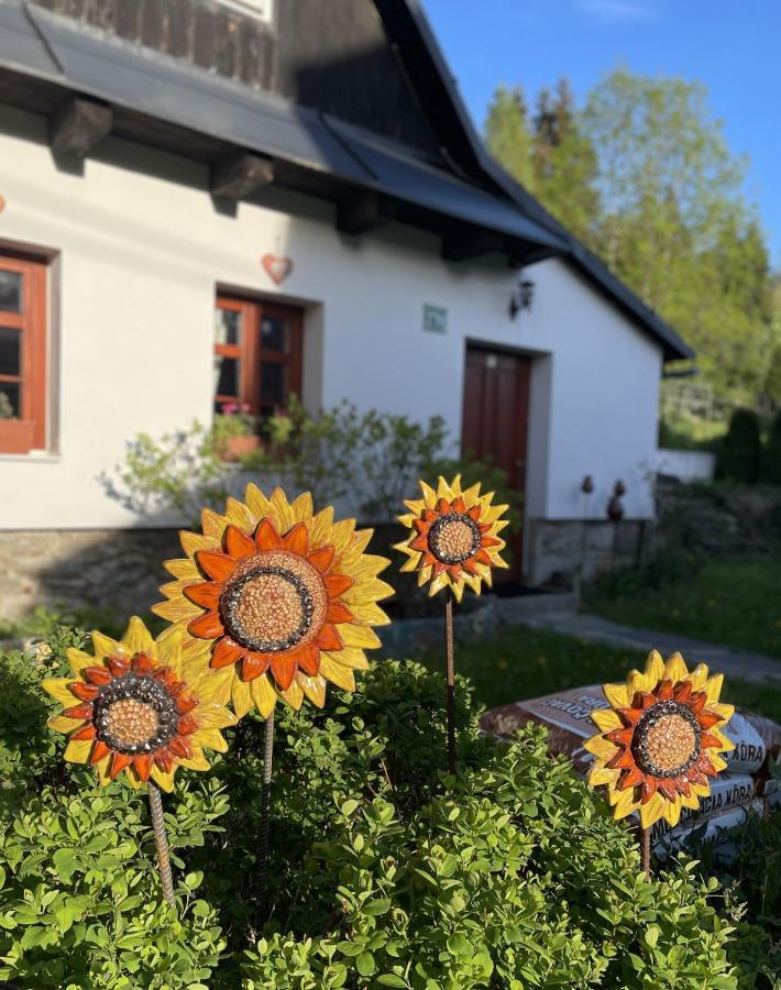 Rozpravkovy Domcek Zvoncek Villa Donovaly Luaran gambar